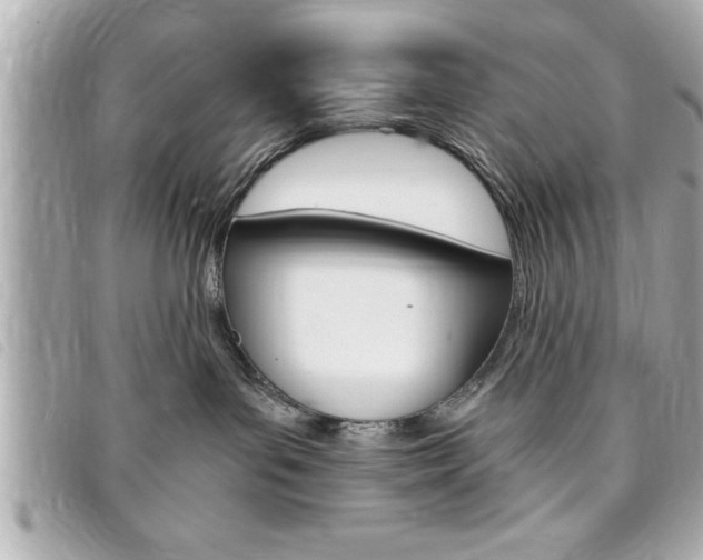 X0000094200143200710260920