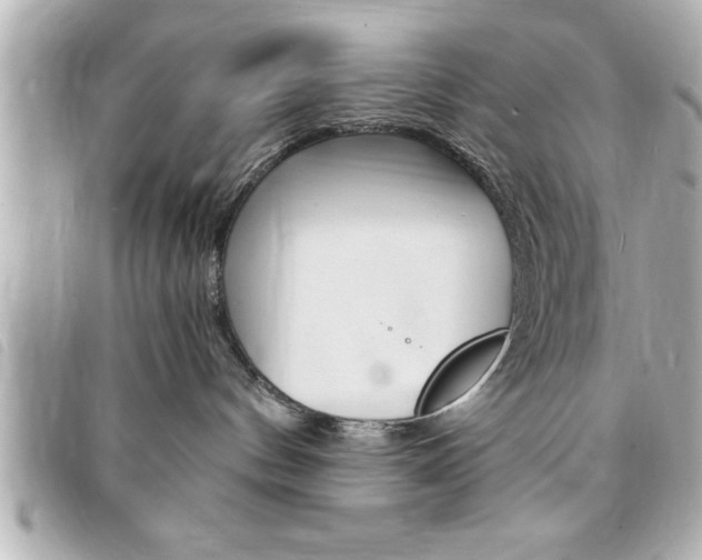 X0000094200144200710260920