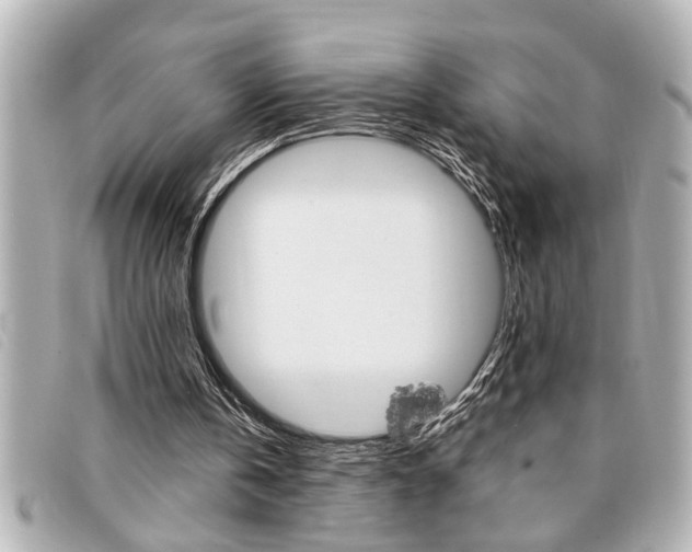 X0000094200146200710260919