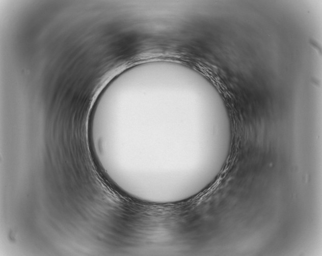 X0000094200148200710260919
