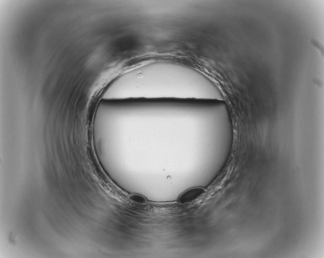 X0000094200149200710260919