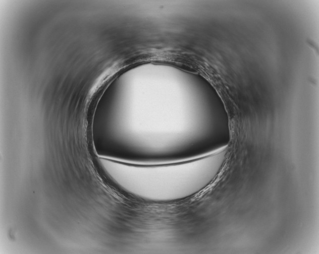 X0000094200150200710260919