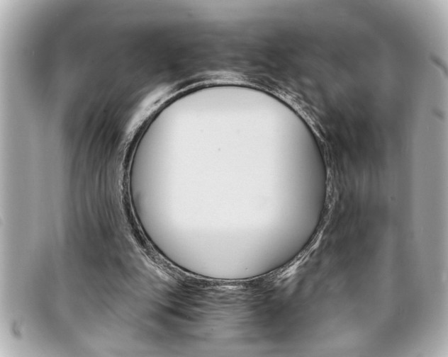 X0000094200151200710260919