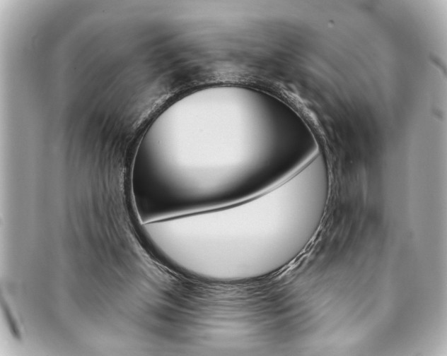 X0000094200154200710260919