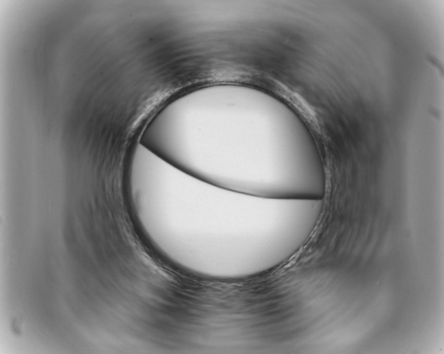 X0000094200155200710260919