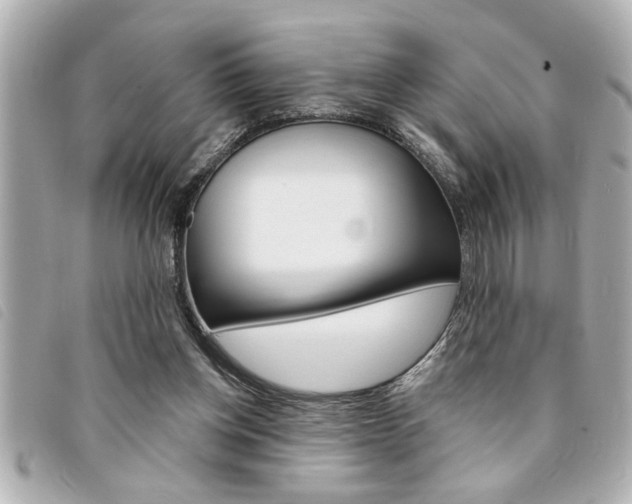X0000094200158200710260919