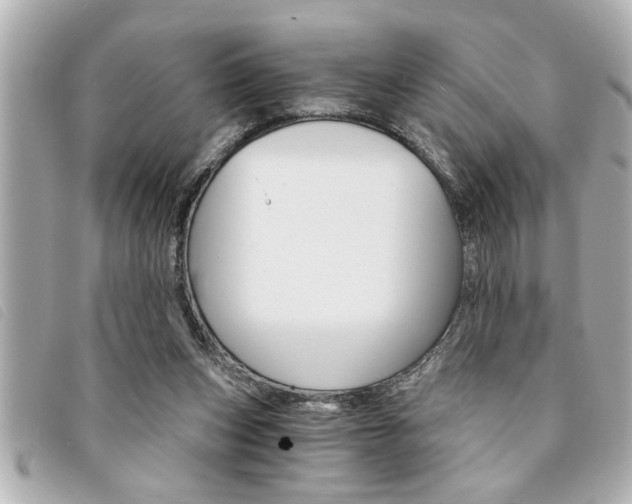 X0000094200159200710260919