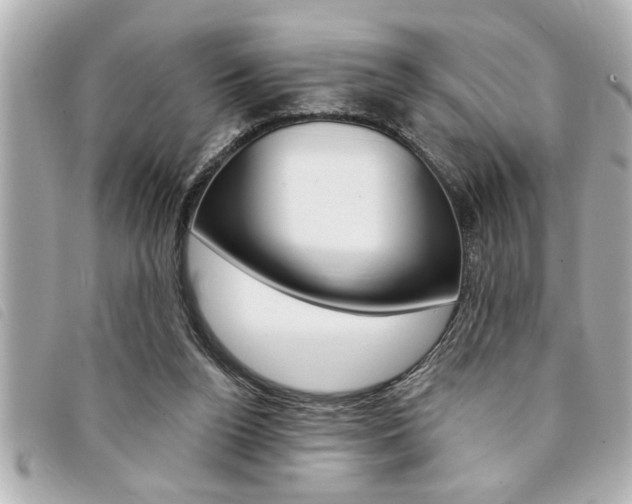 X0000094200160200710260919