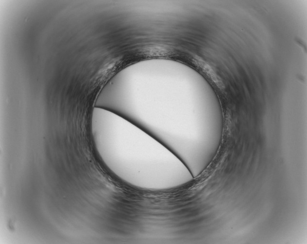X0000094200161200710260919