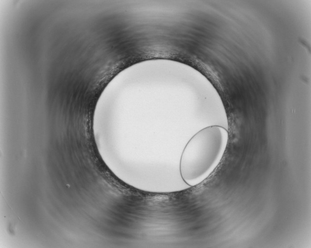 X0000094200162200710260919