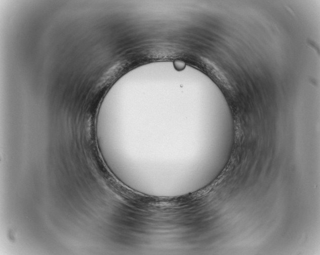 X0000094200163200710260919