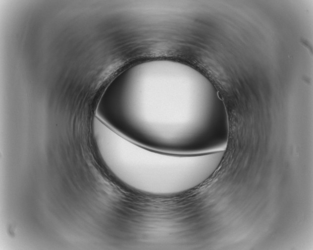 X0000094200164200710260919