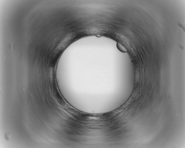 X0000094200167200710260919