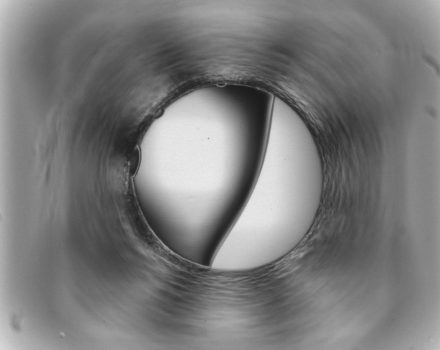 X0000094200168200710260919