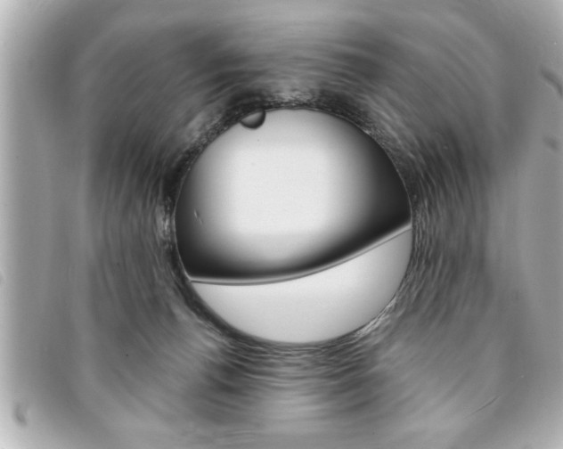 X0000094200176200710260920