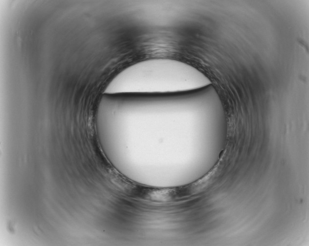 X0000094200178200710260920