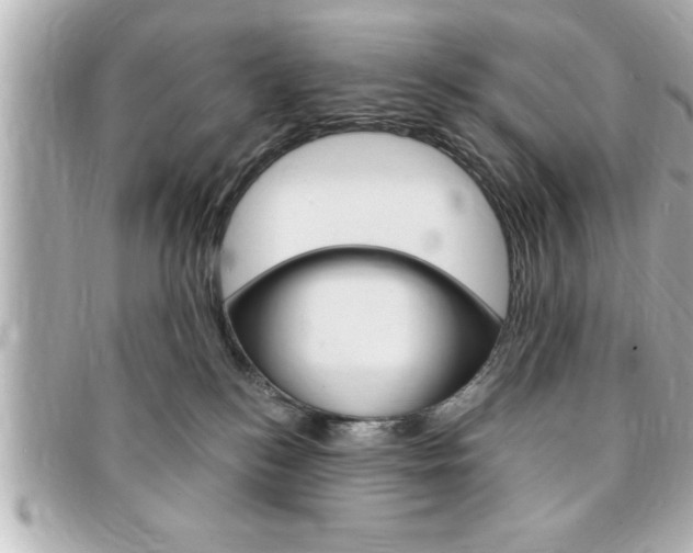 X0000094200184200710260920