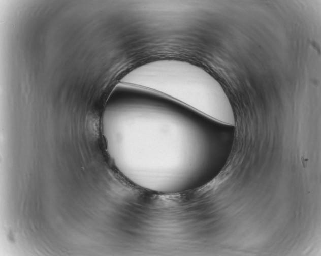 X0000094200188200710260920