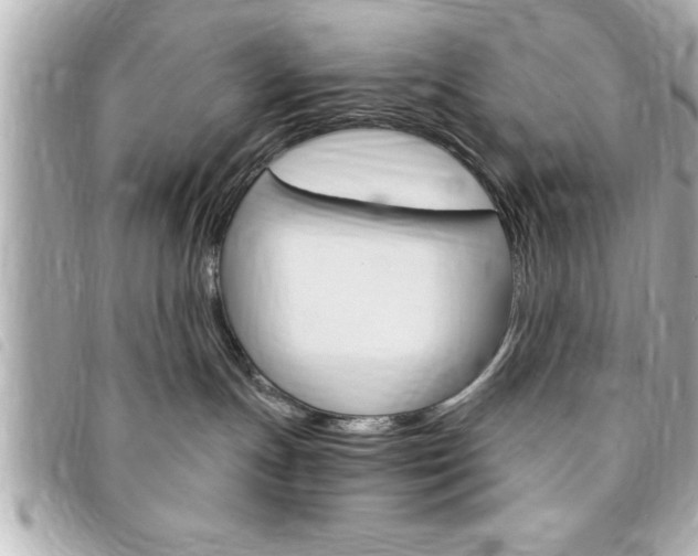 X0000094200191200710260920