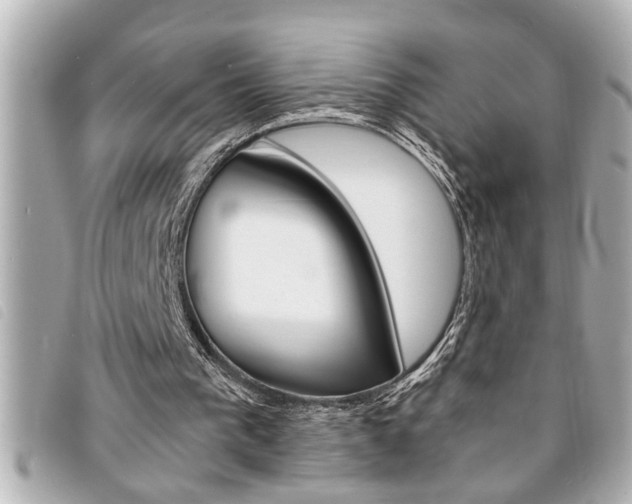 X0000094200193200710260919