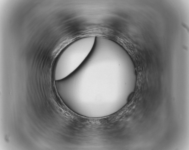 X0000094200194200710260919