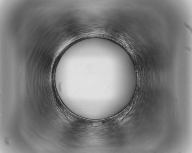 X0000094200196200710260919