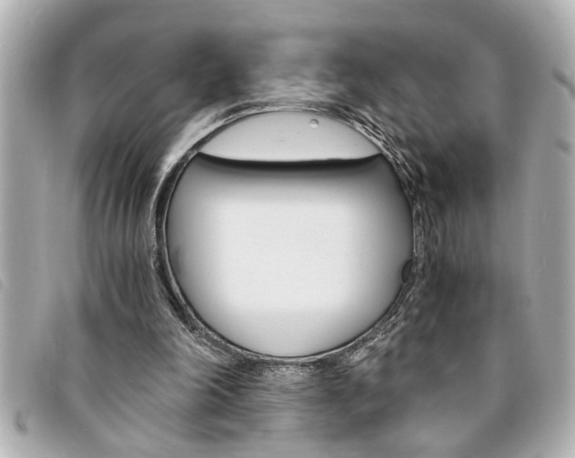 X0000094200198200710260919