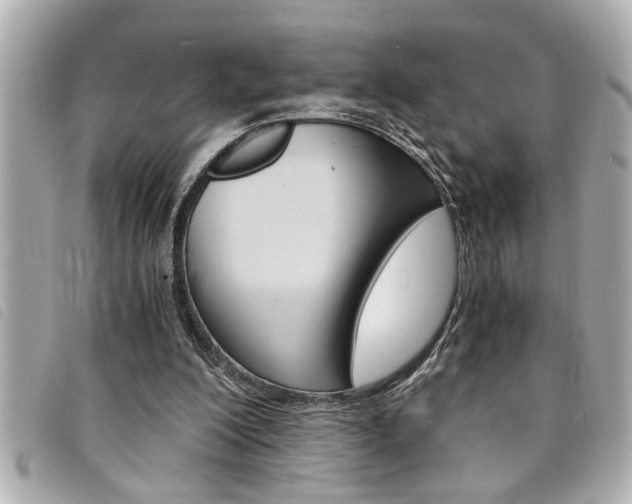 X0000094200200200710260919