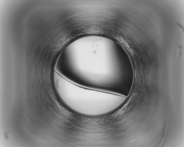X0000094200201200710260919