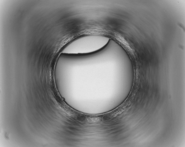 X0000094200202200710260919