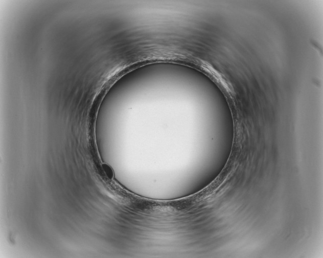 X0000094200203200710260919