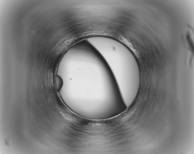X0000094200205200710260919