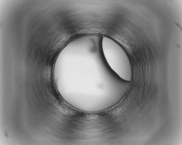 X0000094200206200710260919