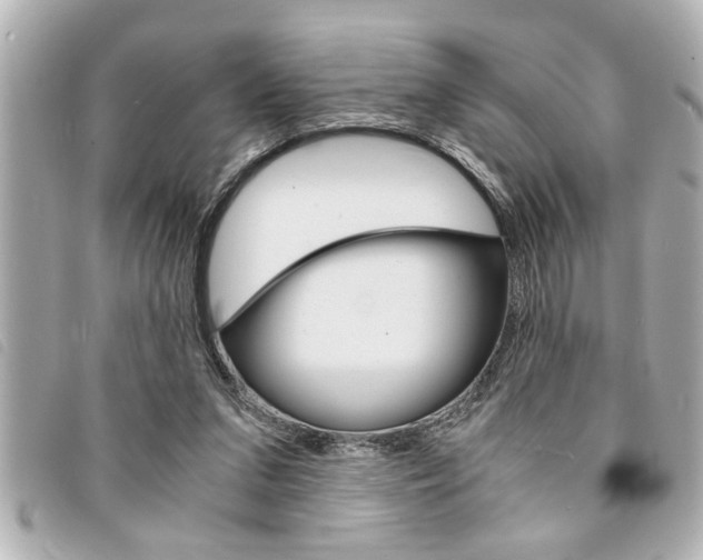 X0000094200207200710260919