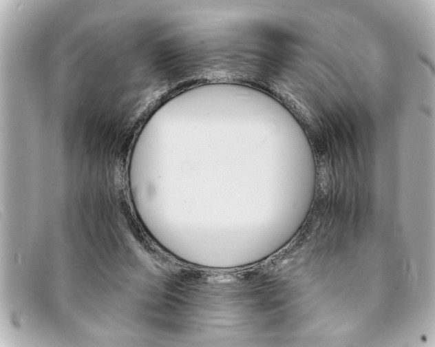 X0000094200208200710260919