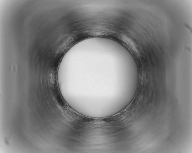 X0000094200210200710260919