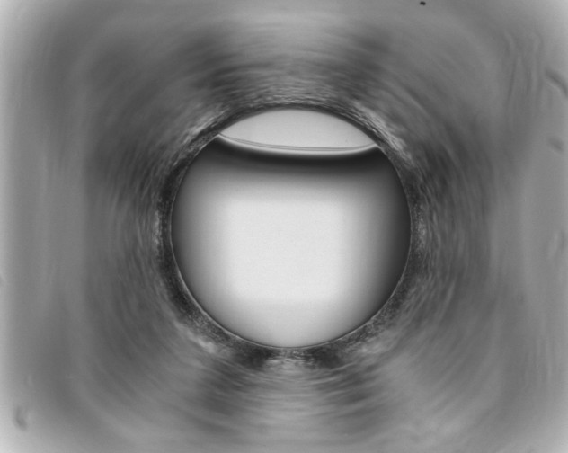 X0000094200211200710260919