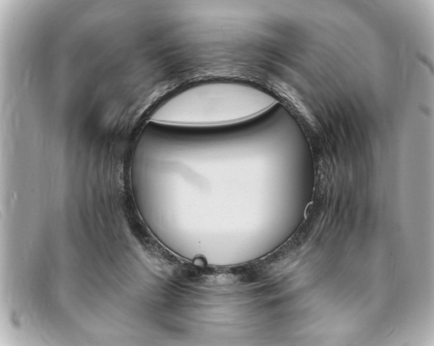 X0000094200212200710260919