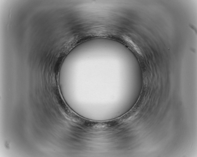 X0000094200213200710260919