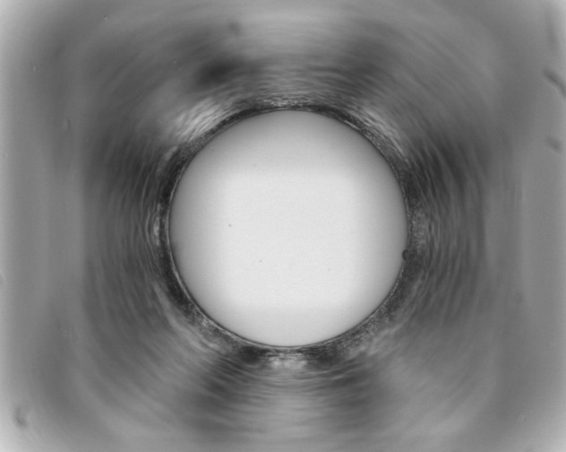 X0000094200214200710260919
