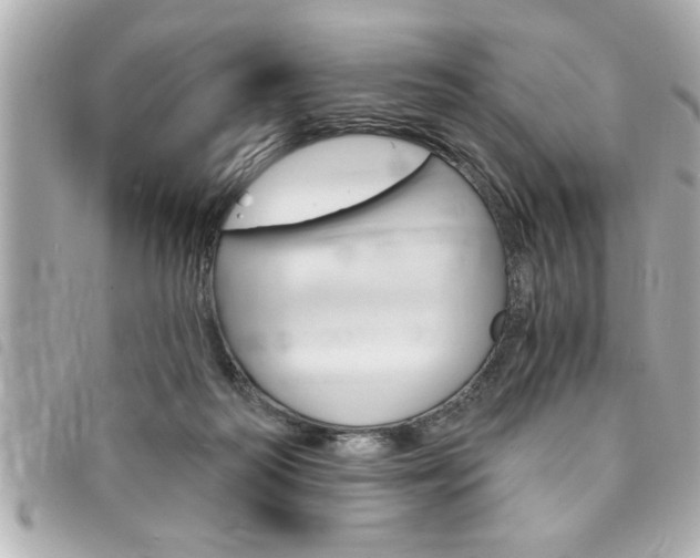 X0000094200218200710260919