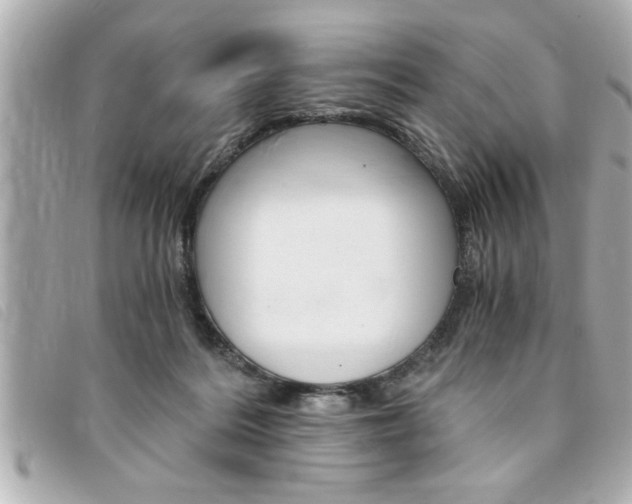 X0000094200220200710260919