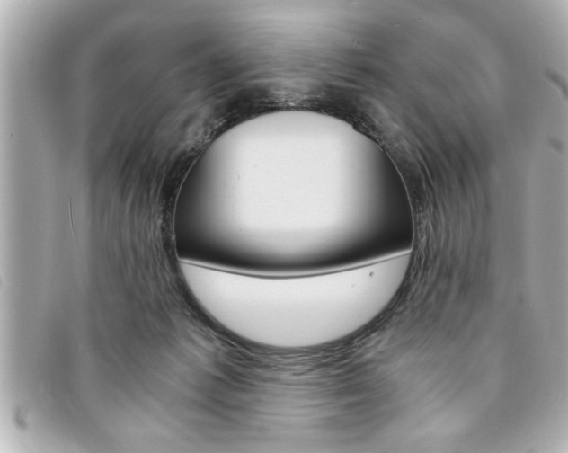 X0000094200221200710260919