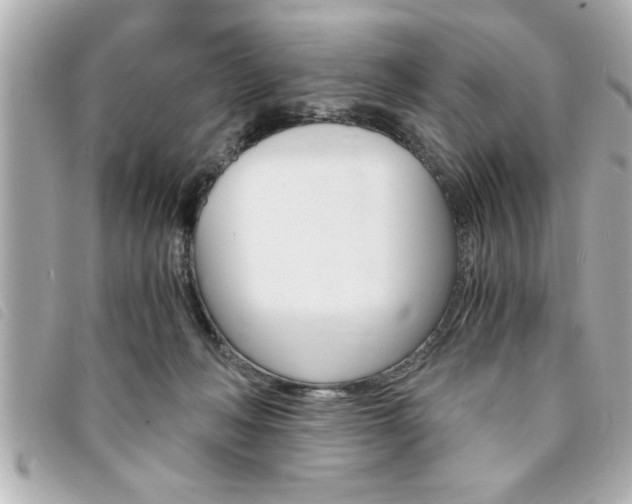 X0000094200222200710260919