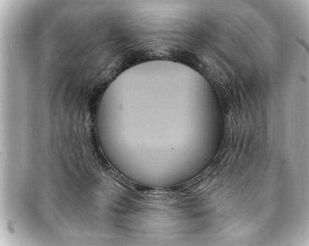X0000094200223200710260919