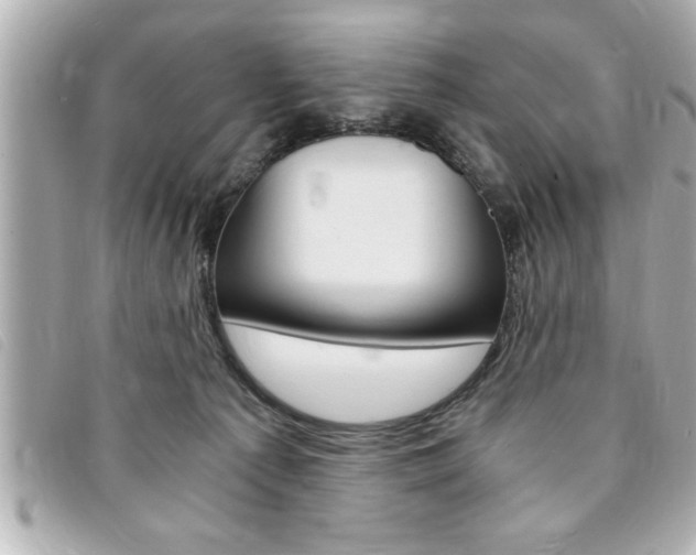 X0000094200225200710260919