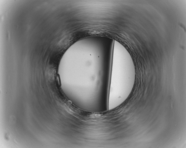 X0000094200227200710260919