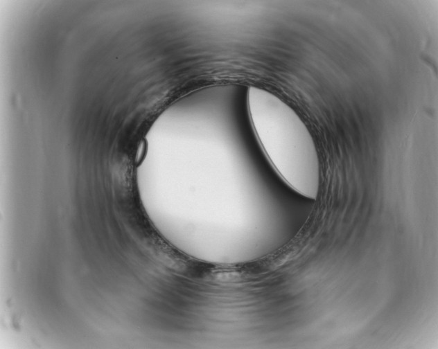 X0000094200228200710260919