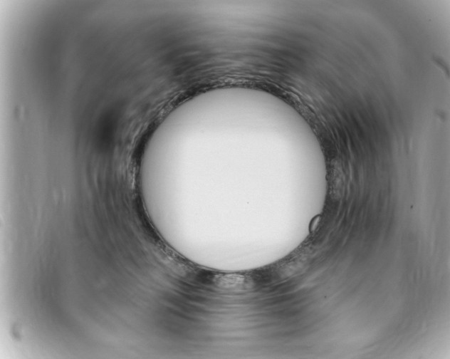 X0000094200230200710260919