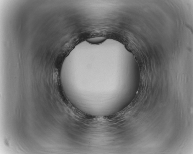 X0000094200231200710260919